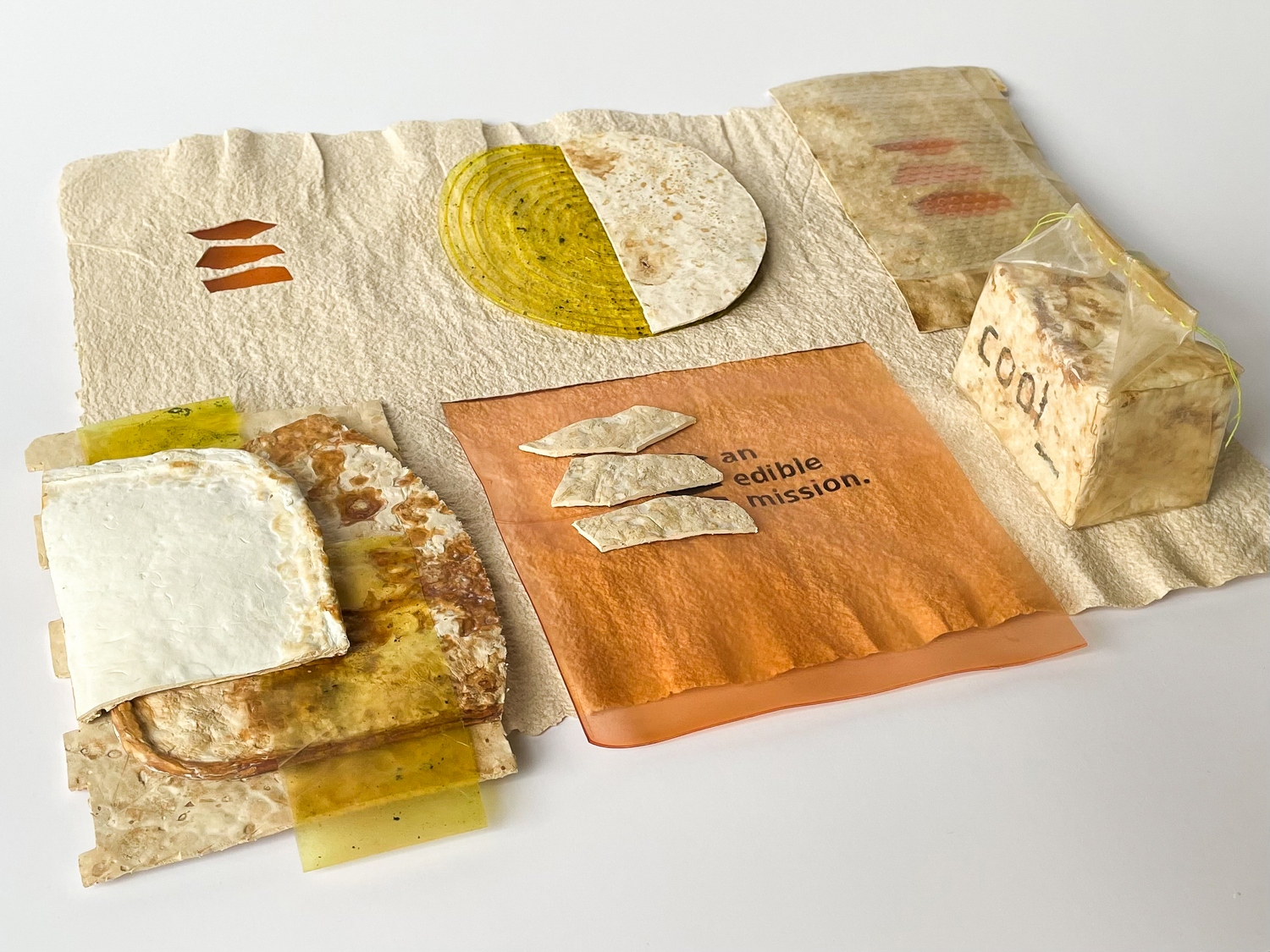 03%20MDU26_An%20edible%20mission_Andrea%20Brittnek_Kata%20Lagzi_2026%20-%201500x1125px.JPG